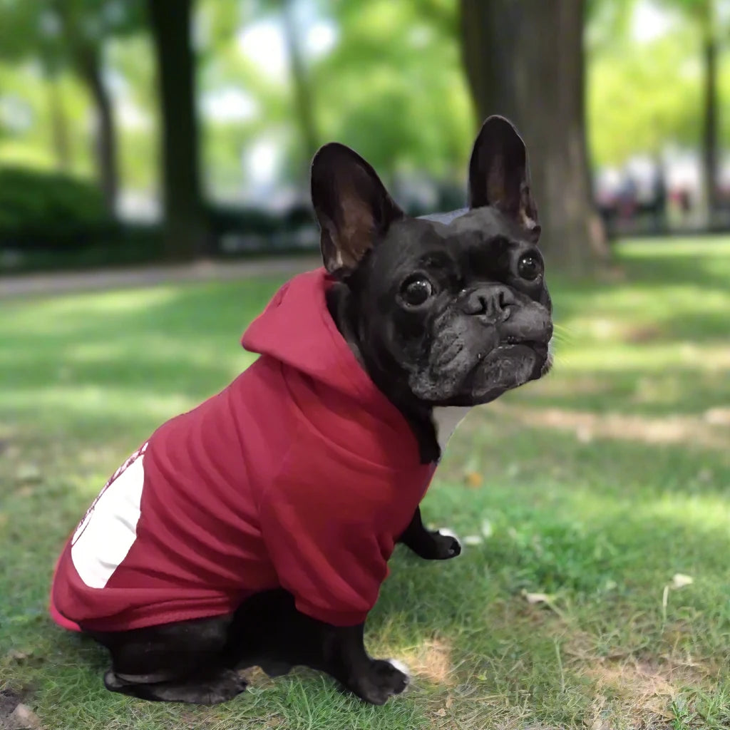 The Dog Face Classics: Premium Pet Hoodies for Small Dogs (XS to XXL)