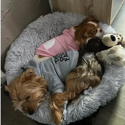 The Dog Face Classics: Premium Pet Hoodies for Small Dogs (XS to XXL)